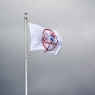 2010-04-18 (156)